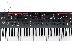 PoulaTo: Dave Smith Instruments Prophet 12 Synthesizer Keyboard, 61-Key